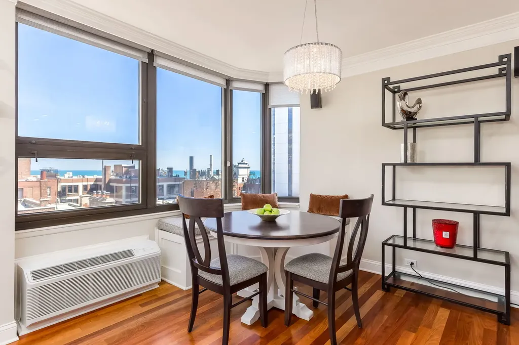 221 East Walton Place Chicago IL 60611