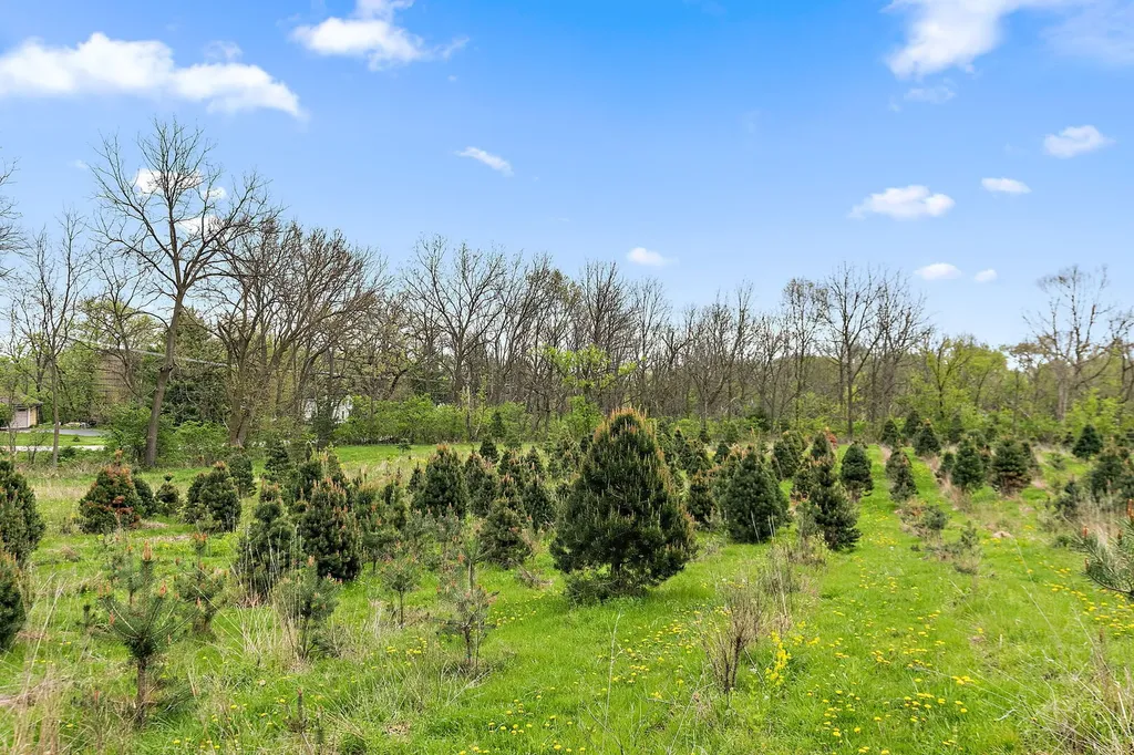 309 Three Oaks Road Cary IL 60013
