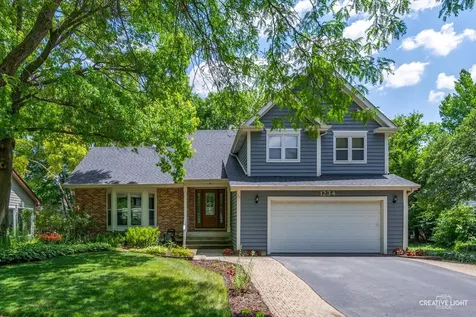 1234 Oakton Lane Naperville IL 60540
