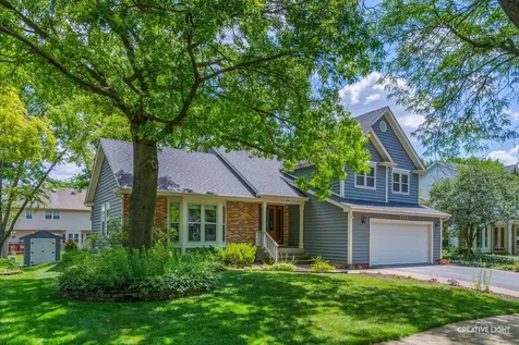 1234 Oakton Lane Naperville IL 60540