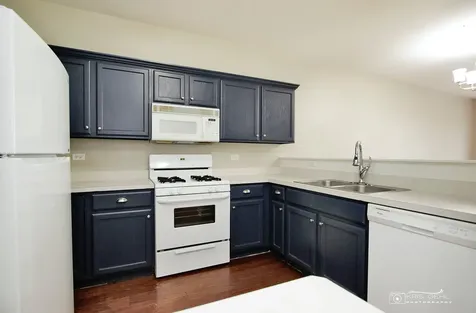 3152 Falling Waters Lane Lindenhurst IL 60046