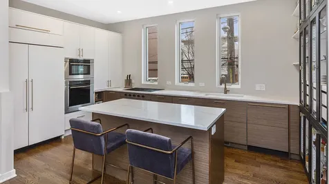 1244 West Cottage Place Chicago IL 60607