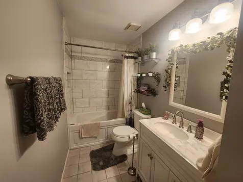 10 Ash Court Streamwood IL 60107