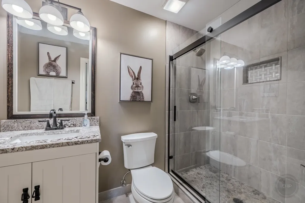 24146 Brancaster Drive Naperville IL 60564