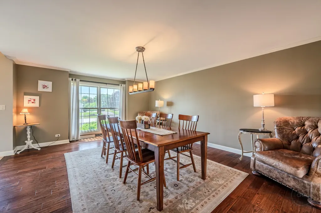 24146 Brancaster Drive Naperville IL 60564