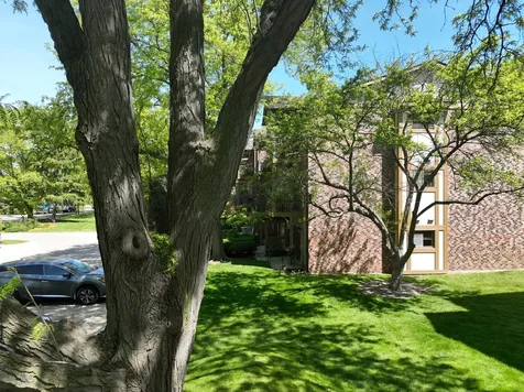 811 South Dwyer Avenue Arlington Heights IL 60005