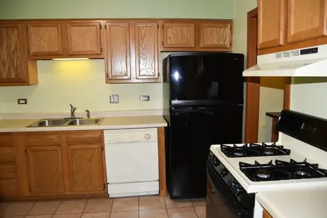 1464 Birchwood Lane Gurnee IL 60031