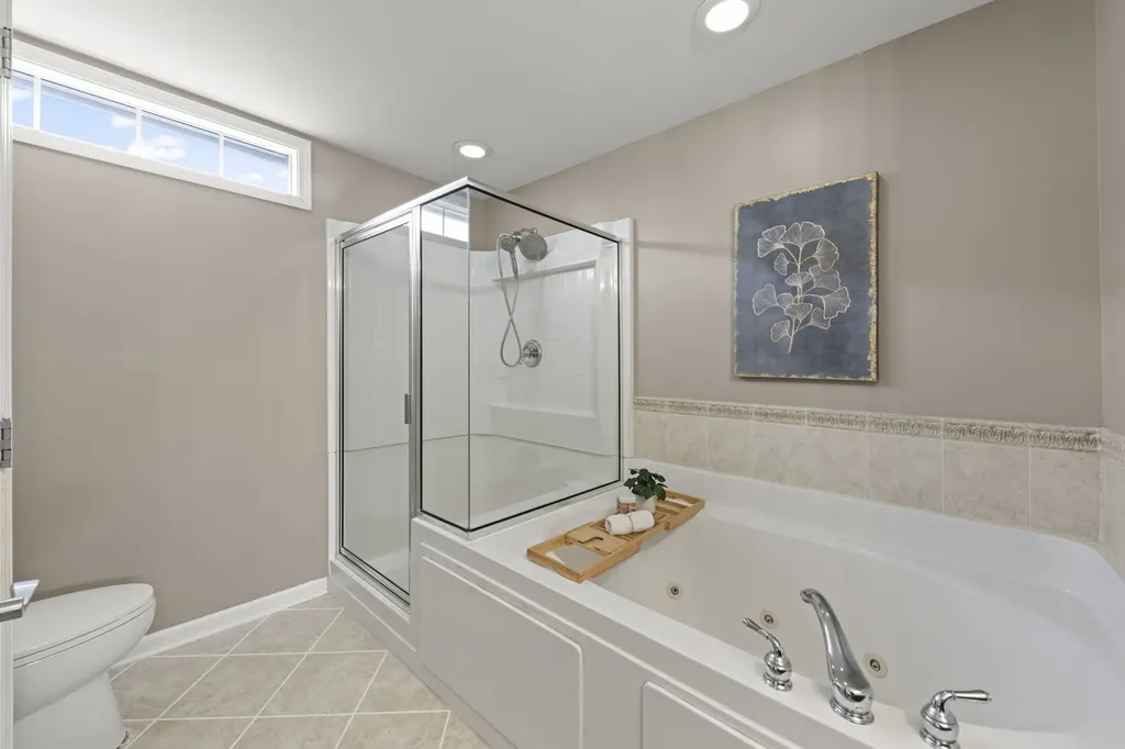 928 Shandrew Drive Naperville IL 60540