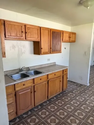 3231 Roesner Drive Markham IL 60428