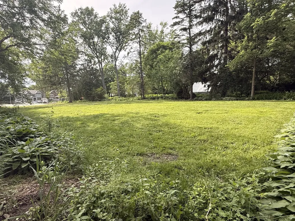 225 Lorraine Street Glen Ellyn IL 60137