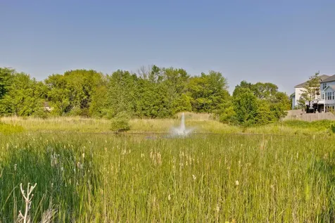 1198 Tulip Tree Lane Lake Villa IL 60046