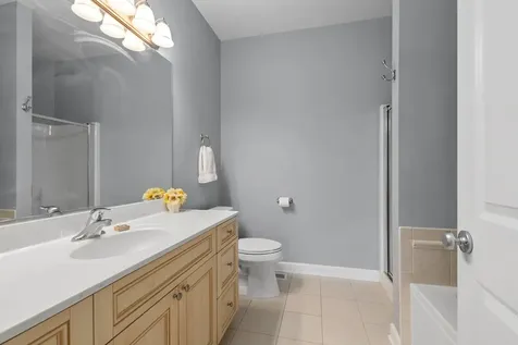 9411 Huber Court Orland Park IL 60467