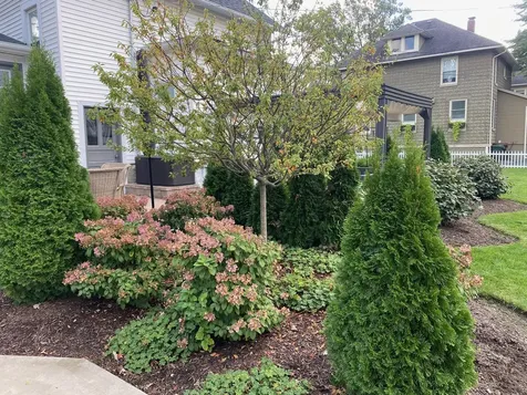 220 Hickory Street Frankfort IL 60423