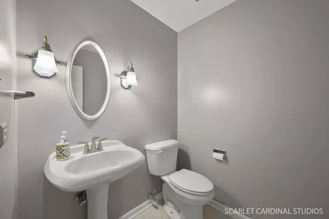 907 Secretariat Drive Naperville IL 60540