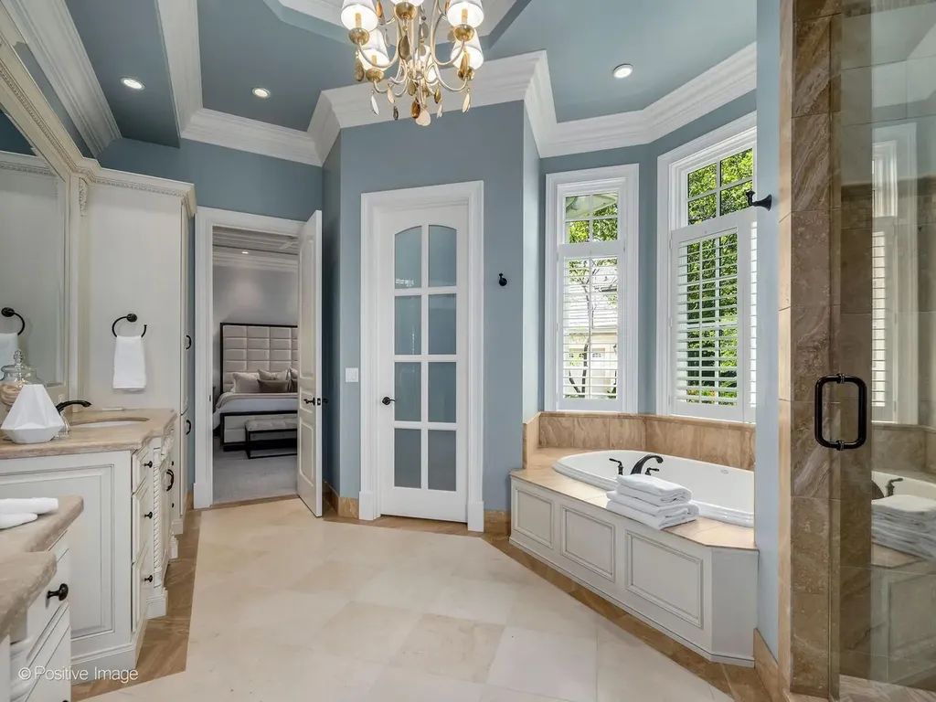 431 Woodland Park Court Hinsdale IL 60521