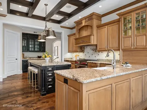 431 Woodland Park Court Hinsdale IL 60521