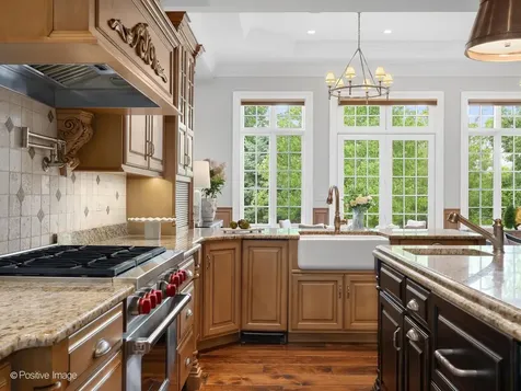 431 Woodland Park Court Hinsdale IL 60521