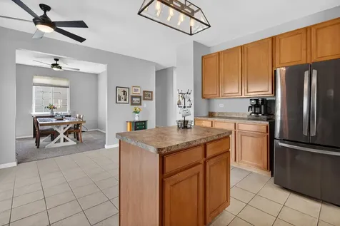 704 Camden Drive Minooka IL 60447