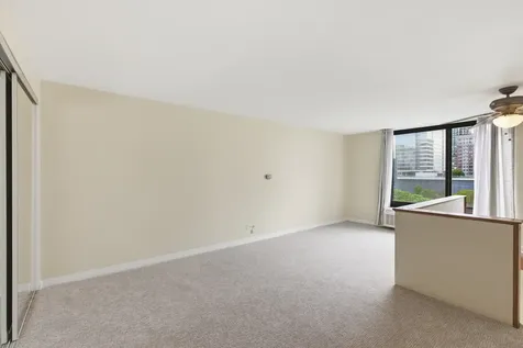 1221 North Dearborn Street Chicago IL 60610