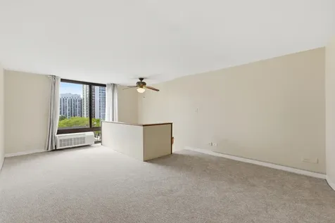 1221 North Dearborn Street Chicago IL 60610
