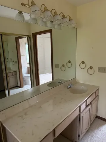 223 Williamsburg Court Montgomery IL 60538