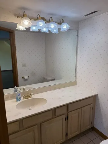 223 Williamsburg Court Montgomery IL 60538