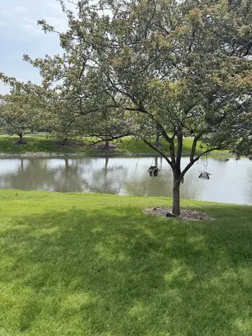 223 Williamsburg Court Montgomery IL 60538