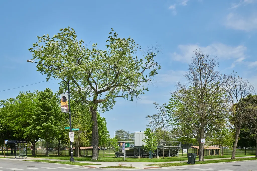 433-35 East 91st Place Chicago IL 60619