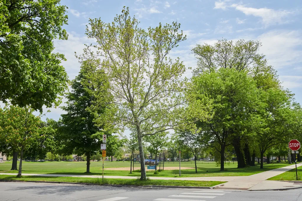 433-35 East 91st Place Chicago IL 60619