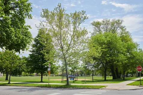 433-35 East 91st Place Chicago IL 60619