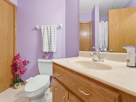 4533 Morning Glory Drive Matteson IL 60443