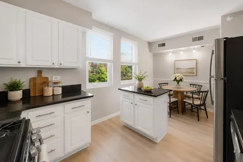 1038 Susan Collin Lane Oak Park IL 60302