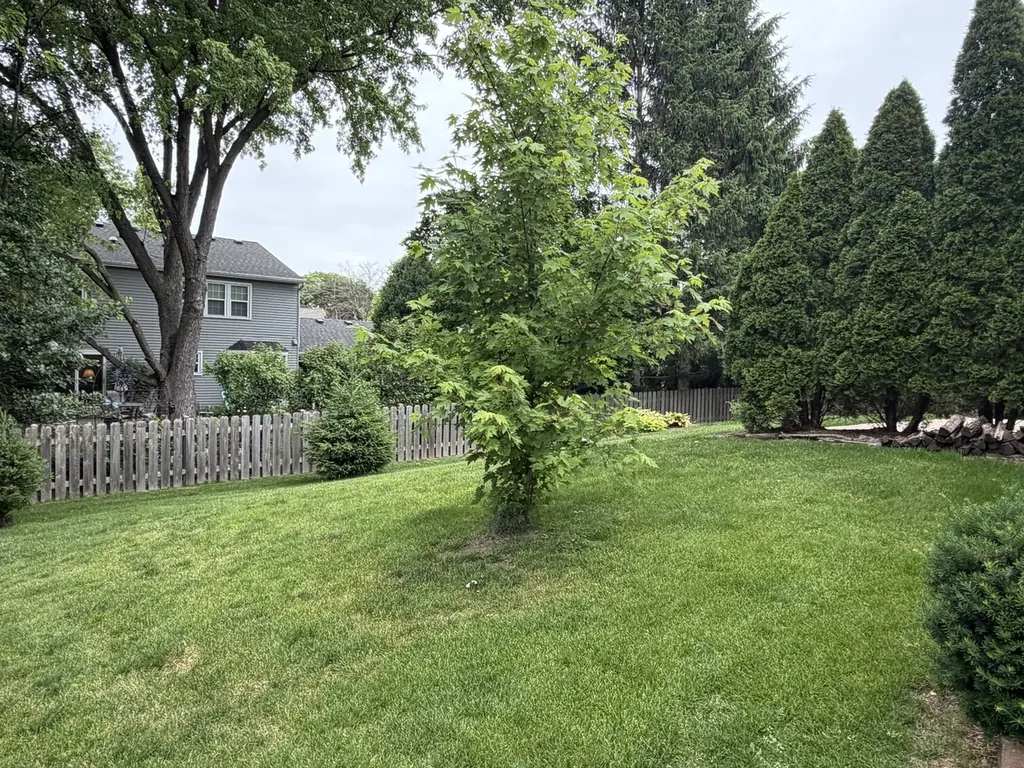 1159 Peachtree Court Naperville IL 60540