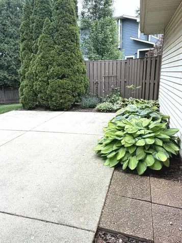 1159 Peachtree Court Naperville IL 60540