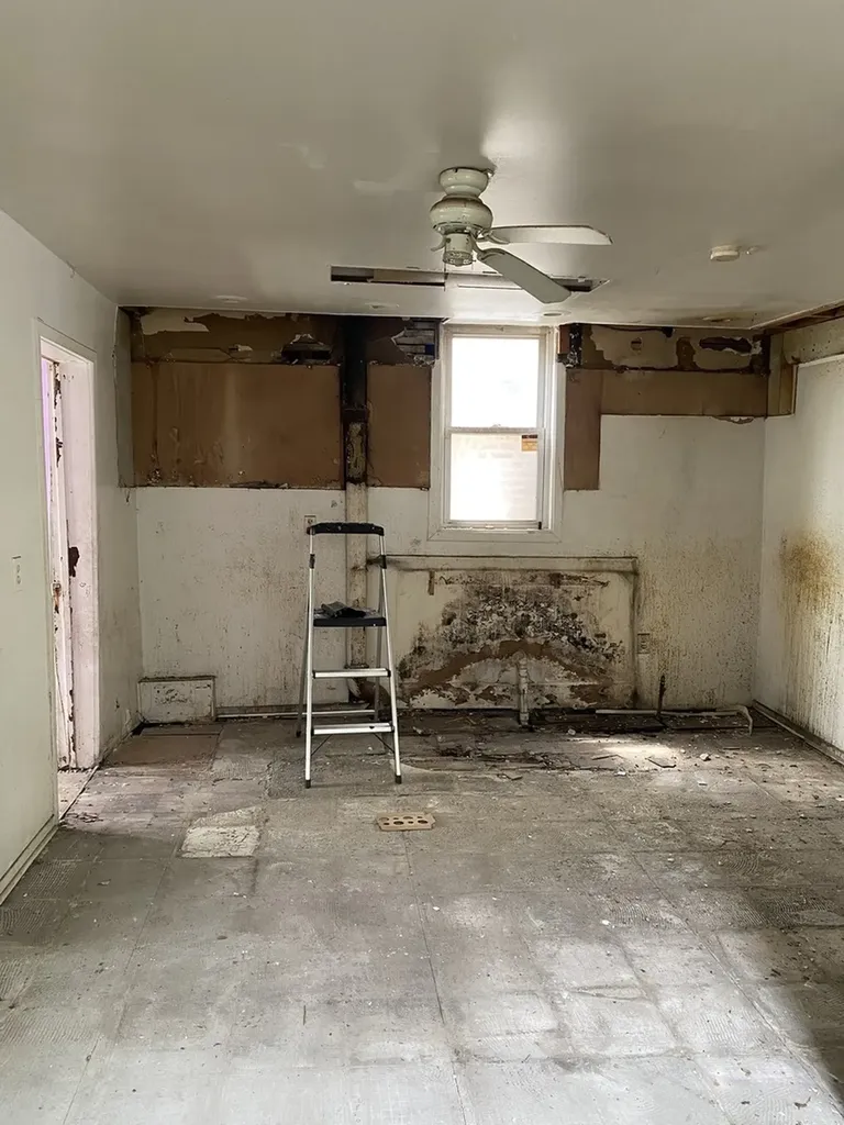 6905 South Woodlawn Avenue Chicago IL 60637
