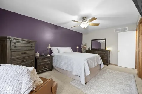802 Andrea Drive Manhattan IL 60442