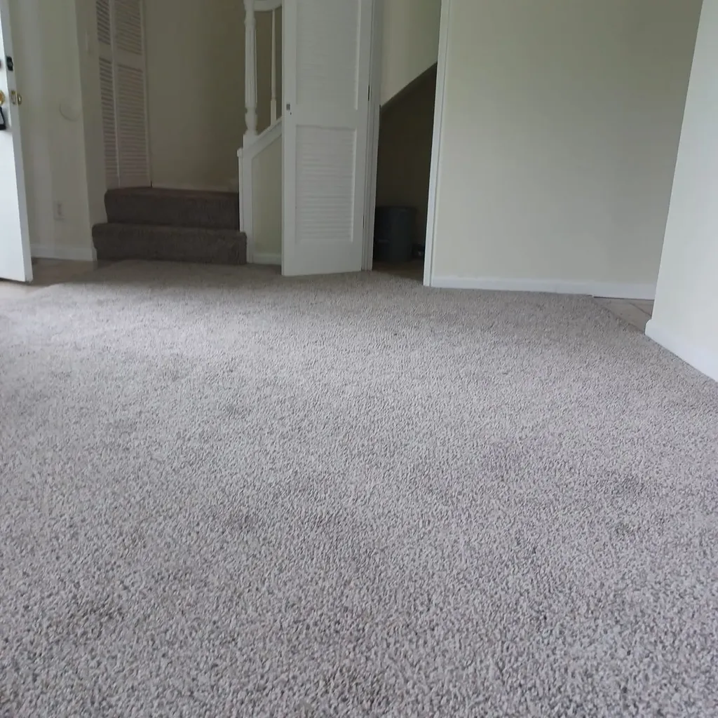 9 Fernwood Drive Bolingbrook IL 60440