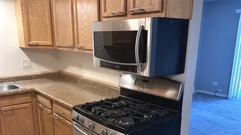 7005 99TH Street Chicago Ridge IL 60415