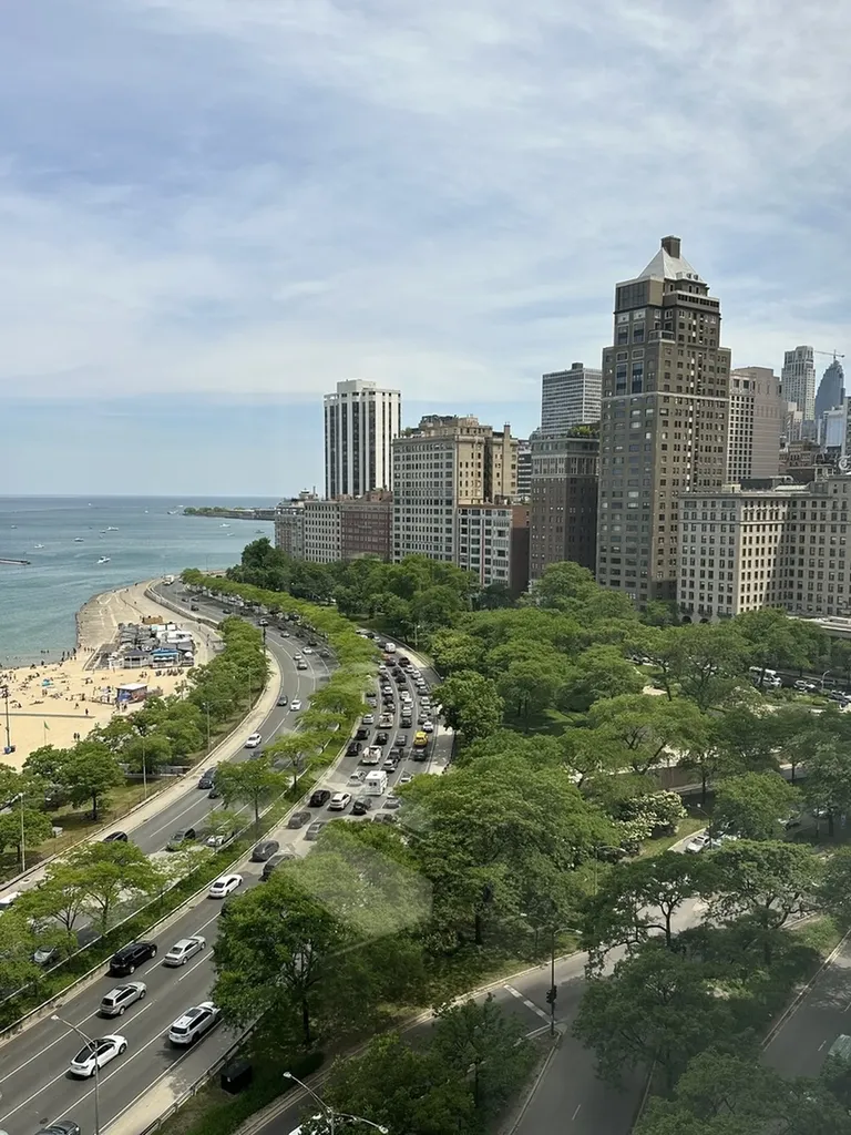 1100 North Lake Shore Drive Chicago IL 60611