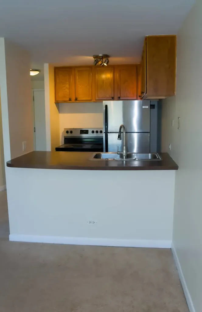 1221 North Dearborn Parkway Chicago IL 60610