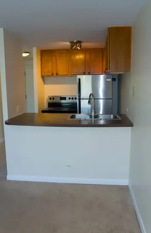 1221 North Dearborn Parkway Chicago IL 60610