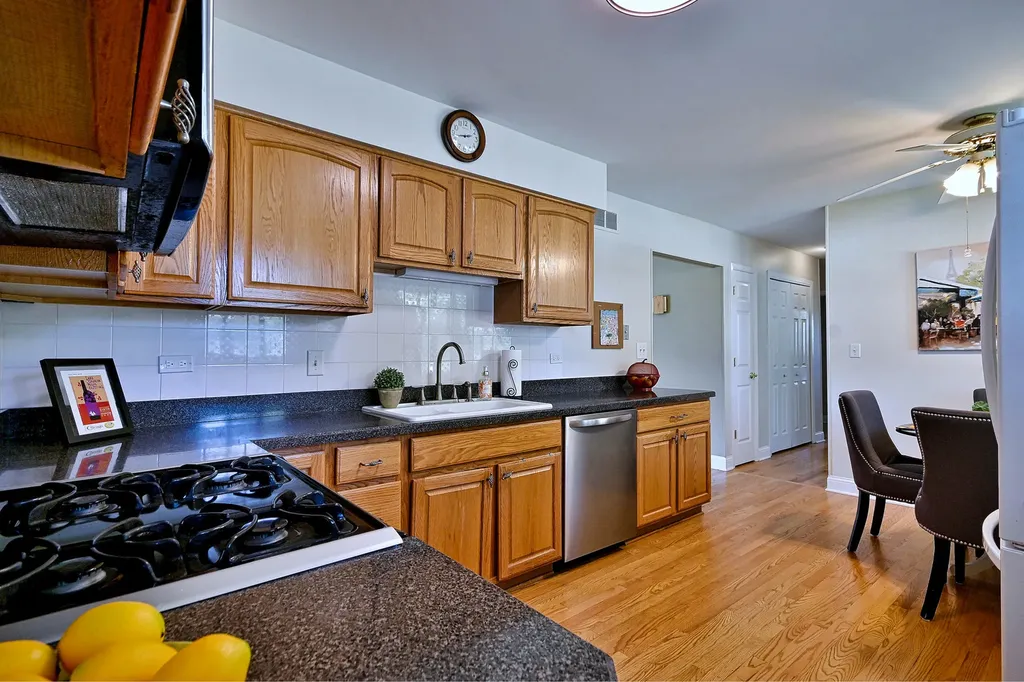 497 Julie Drive Schaumburg IL 60193