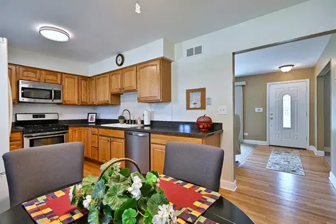 497 Julie Drive Schaumburg IL 60193