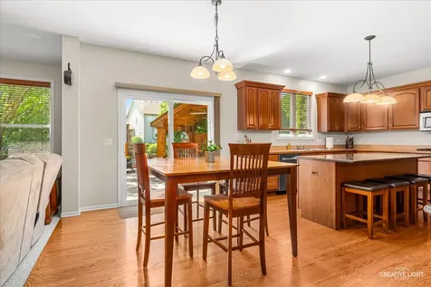 390 Bloomfield Circle E Oswego IL 60543