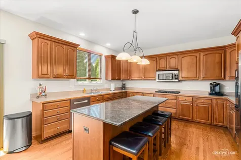 390 Bloomfield Circle E Oswego IL 60543