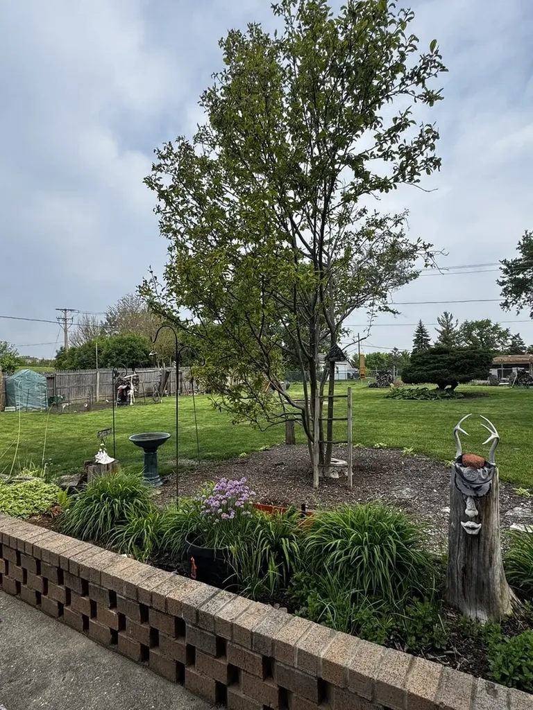 1100 South Columbine Avenue Lombard IL 60148