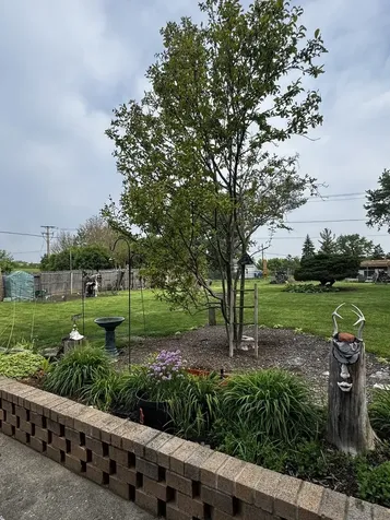 1100 South Columbine Avenue Lombard IL 60148