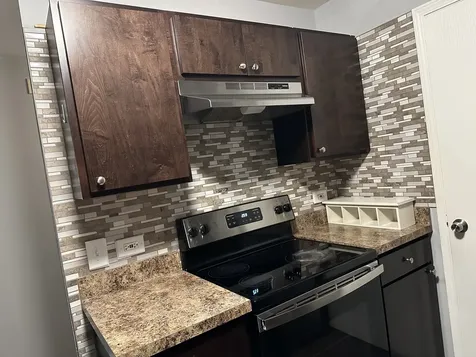 1545 West Crystal Rock Court Round Lake Beach IL 60073