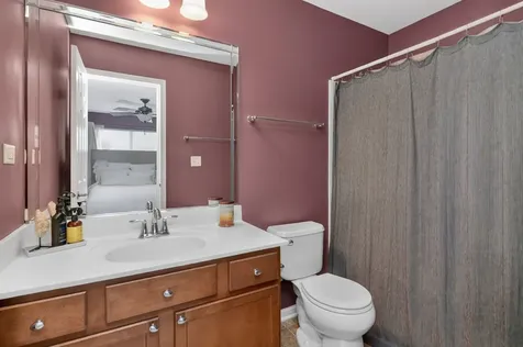 44 Grace Court Lemont IL 60439