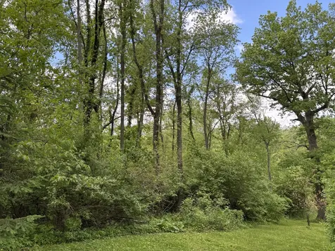 4N624 Snowbird Court St. Charles IL 60175